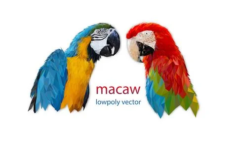 Polygon Graphics two bird macaw parrot isolated on a white background Stock Illustration