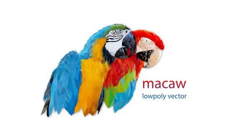 Polygon Graphics two bird macaw parrot isolated on a white background Stock Illustration