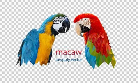 Polygon Graphics two bird macaw parrot illustration transparency イラスト素材