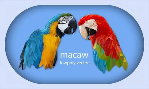 Polygon Graphics two bird macaw parrot vector illustration イラスト素材