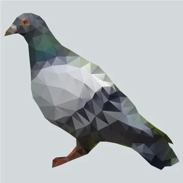 Polygon pigeon Stock-Illustration