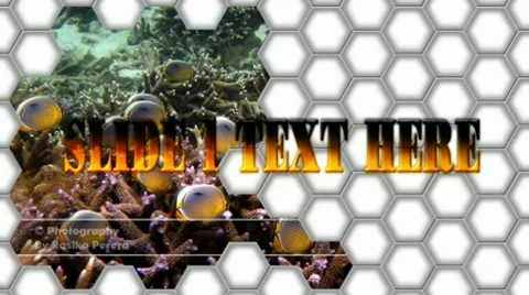 Polygon Puzzle 库存 After Effects