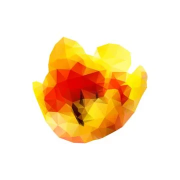 Polygon tulip bud on a white background Stock Illustration