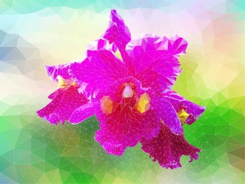 Polygon vector orchid Stock Illustration