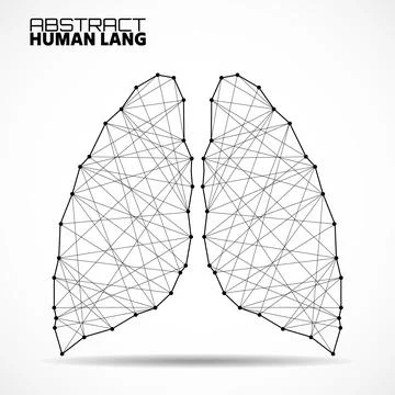 Polygonal abstract lung with connected lines. Vector illustrator Stock Illustration
