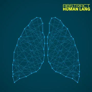 Polygonal abstract lung with connected lines. Vector illustrator Stock Illustration