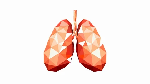 Polygonal art of human lung design on white background. Healthy lung. Stock Footage 128748337
