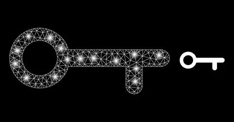 Polygonal Carcass Mesh Key with Magic Stockillustratie