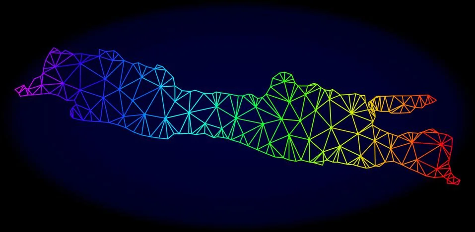 Polygonal Carcass Rainbow Mesh Vector Map of Java Island Stock-Illustration