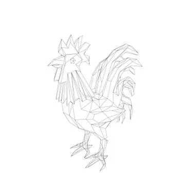 Polygonal cock. Isolated on white background.Vector outline illustration. Иллюстрация