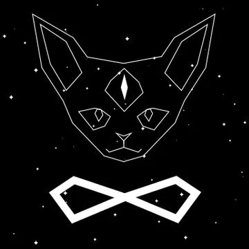 Polygonal contour cat with third eye and infinity symbol on starry background Stock Illustration