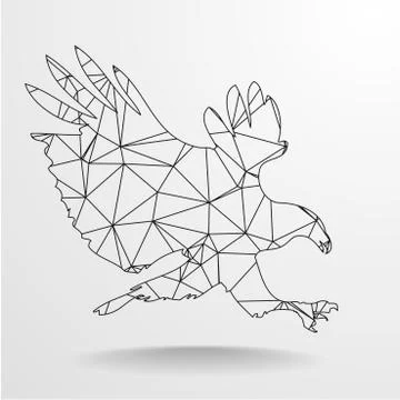 Polygonal Eagle Outline Stock Illustration