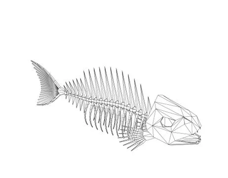 Polygonal Fish skeleton. Isolated on white background. Vector outline illustr 스톡 일러스트