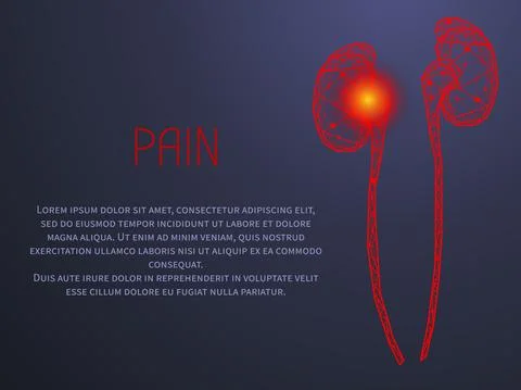 Polygonal human kidneys made of red lines and dots. Organ for urine excretion Stock Illustration