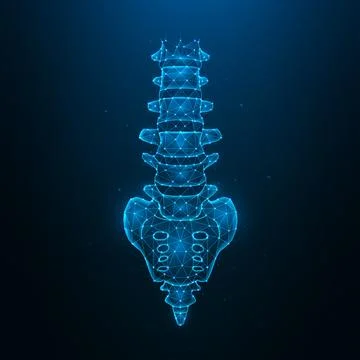 Polygonal human spine vector illustration isolated on dark blue background. A Stock Illustration