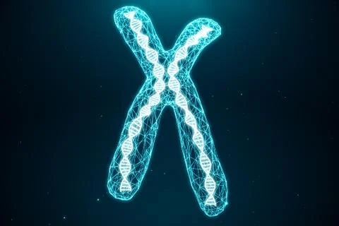 Polygonal Low poly 3D Rendering Digital Artificial Chromosomes Consisting Of Stock Illustration