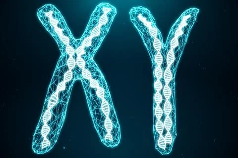 Polygonal Low poly 3D Rendering Digital Artificial Chromosomes Consisting Of Stock Illustration