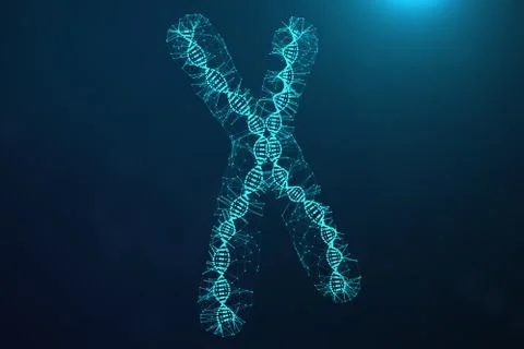 Polygonal Low poly 3D Rendering Digital Artificial Chromosomes Consisting Of Stock Illustration