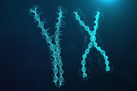 Polygonal Low poly 3D Rendering Digital Artificial Chromosomes Consisting Of Stock-Illustration