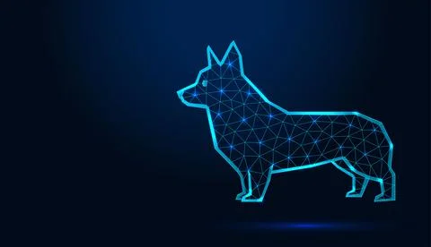 Polygonal low poly wireframe corgi dog standing profile on dark blue background. Stock Illustration