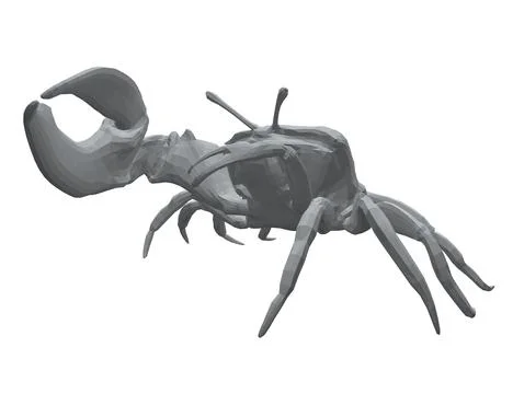 Polygonal model of a crab with one huge claw isolated on a white background. 3D. Illustrazione stock