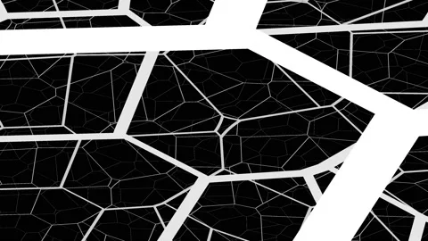 Polygonal Morphs Network Bars Mask Stock Footage 139737838