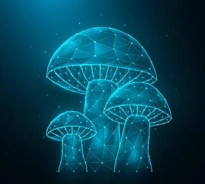 Polygonal mushrooms vector illustration isolated on dark blue background. ... Stock Photos