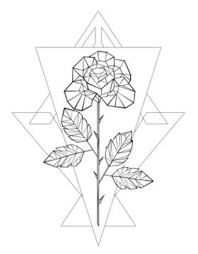 Polygonal rose Stock Illustration