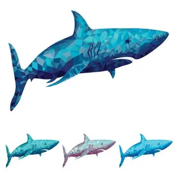 Polygonal Shark Vector Illustration. In Four Colour Options Stock Illustration