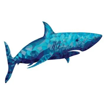 Polygonal Shark Vector Illustration Stock Illustration