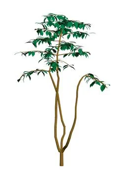 Polygonal tree model isolated on white background. 3D. Vector illustration. Stock Illustration