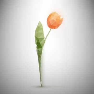 Polygonal tulip Illustrazione stock