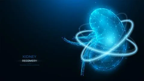 Polygonal vector illustration of human kidney recovery on a dark blue backgro Stock Illustration