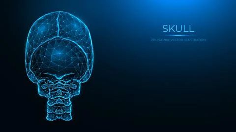 Polygonal vector illustration of a human skull, back view. Anatomical model o Illustrazione stock
