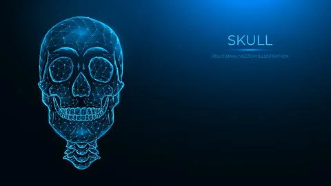 Polygonal vector illustration of a human skull, front view. Low poly anatomic Stock Illustration