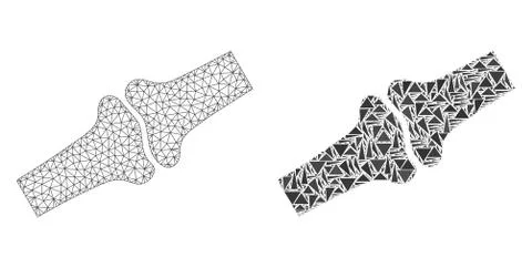 Polygonal Wire Frame Mesh Bone Joint and Mosaic Icon Stock Illustration