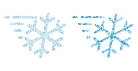 Polygonal Wire Frame Mesh Frost Wind and Mosaic Icon Illustrazione stock