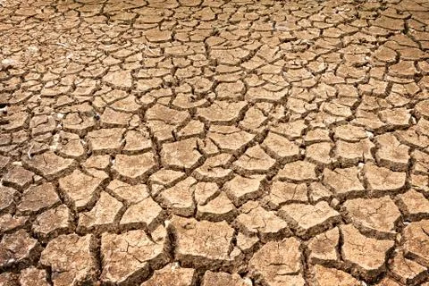 Polygons of desiccation caused by drought Stock Photos