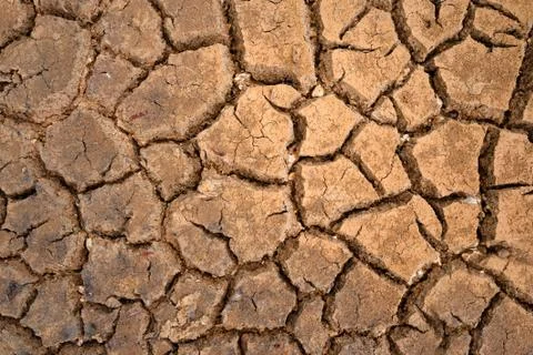 Polygons of desiccation Stock Photos