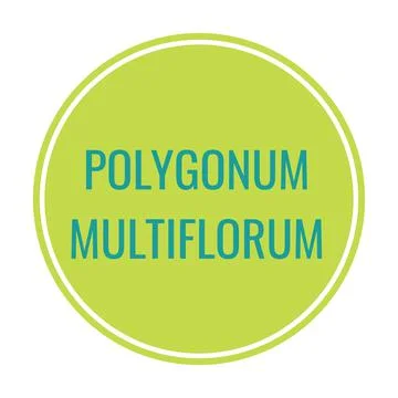 Polygonum multiflorum sign at packaging label Stock-Illustration