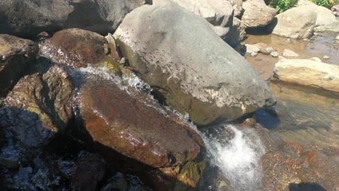 Polykarya waterfall in the mountains of Sochi Stock Footage 161902249