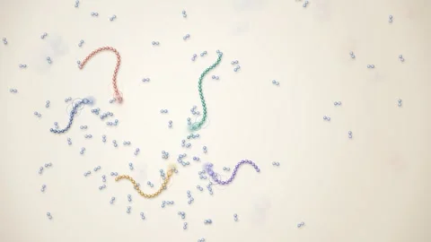 Polymer Chains Growing from Linking Monomers Science Animation Stock-Footage 347525794