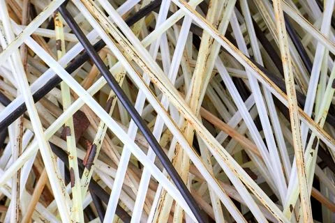 Polymer used tubes for control and measuring devices of petrochemical enterpr Stock Photos