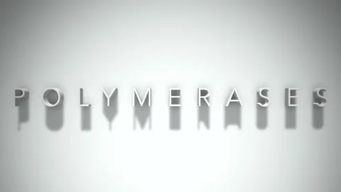 Polymerases 3D title animation with shadows on a white background Stock Footage 297216950