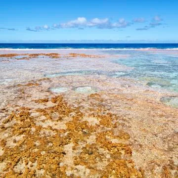 In polynesia the rocks of the coastline Stock Photos