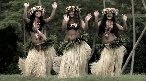 Hawaiian Grass Skirt Dancing Hula Costume Stock Vector (Royalty