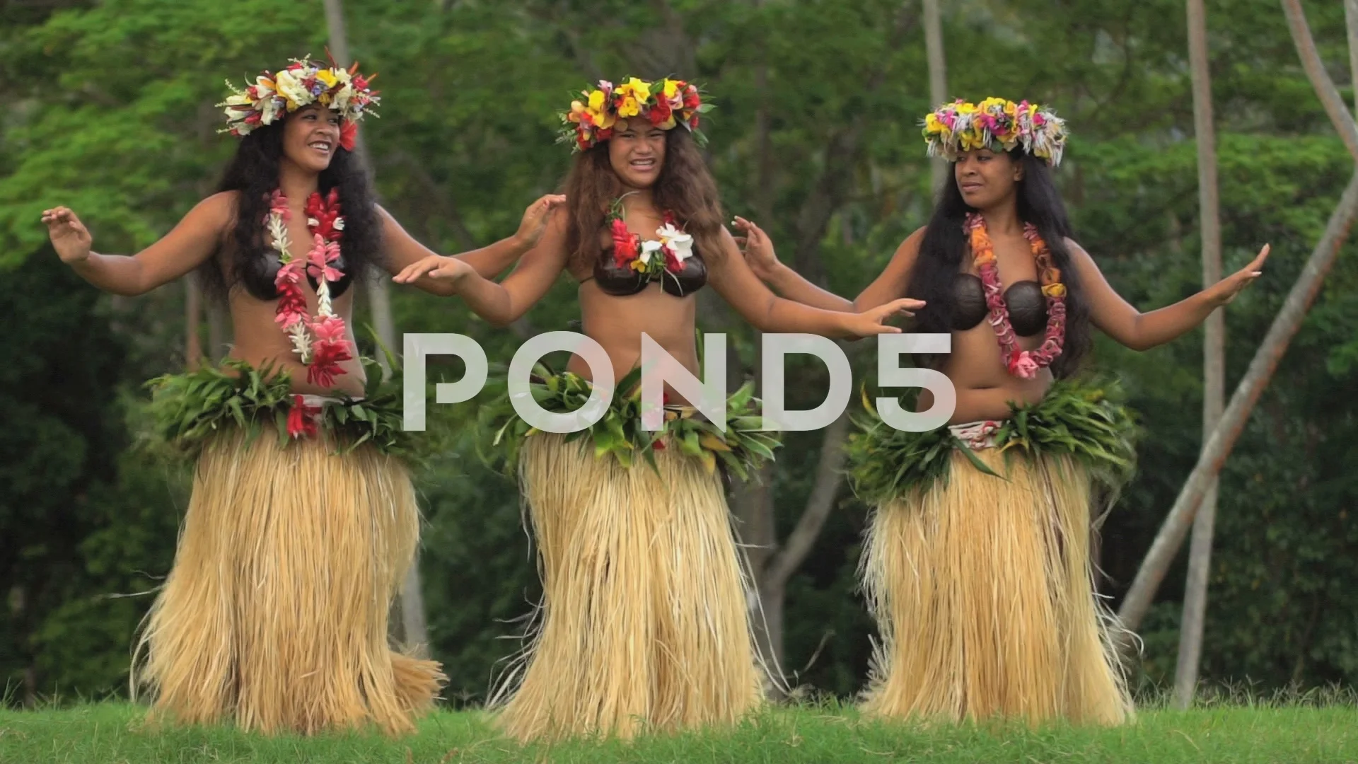Polynesian Graceful Girl Dancer Grass Skirt Stock Footage Video (100%  Royalty-free) 22489543