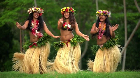Hawaiian Grass Skirt Dancing Hula Costume Stock Vector (Royalty