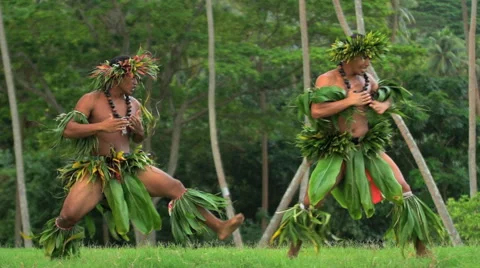 Man Wearing Grass Skirt Lowsection High-Res Stock Photo - Getty Images