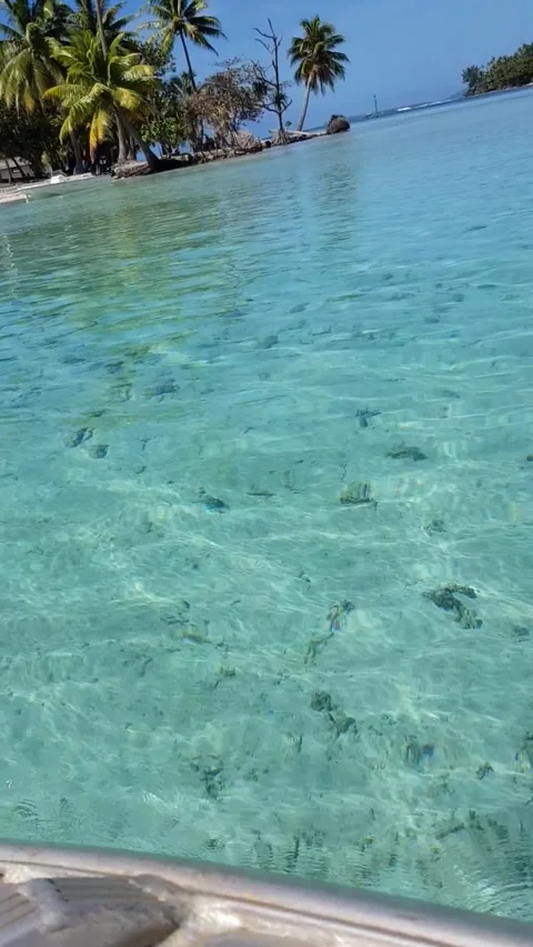 Polynésie bateau Stock Footage 319440621